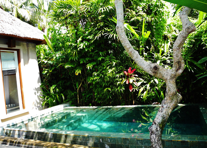 Luxurious Holidays at Maya Ubud Resort & Spa Bali