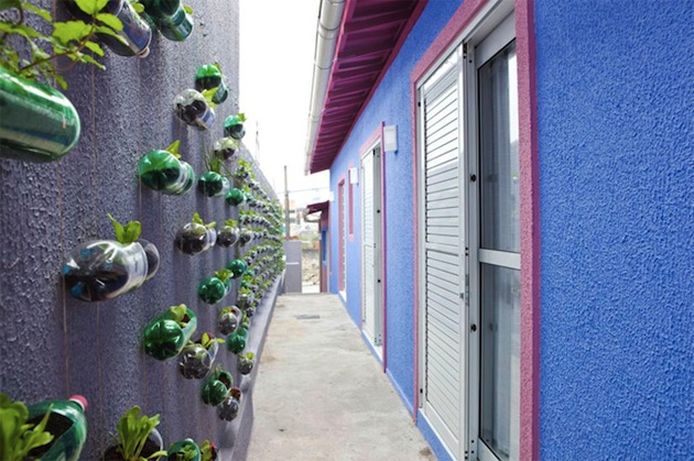 DIY: Creation of a modern garden with upcycling plastic bottles