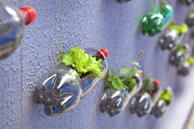 DIY: Creation of a modern garden with upcycling plastic bottles ...