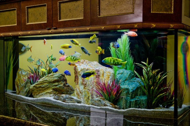 29 Amazing Aquariums For Impressive Decoration Of Your Home