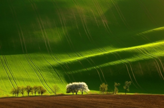 25 Breathtaking Photos Of Nature. You may be Impressed And Confused At The Same Time