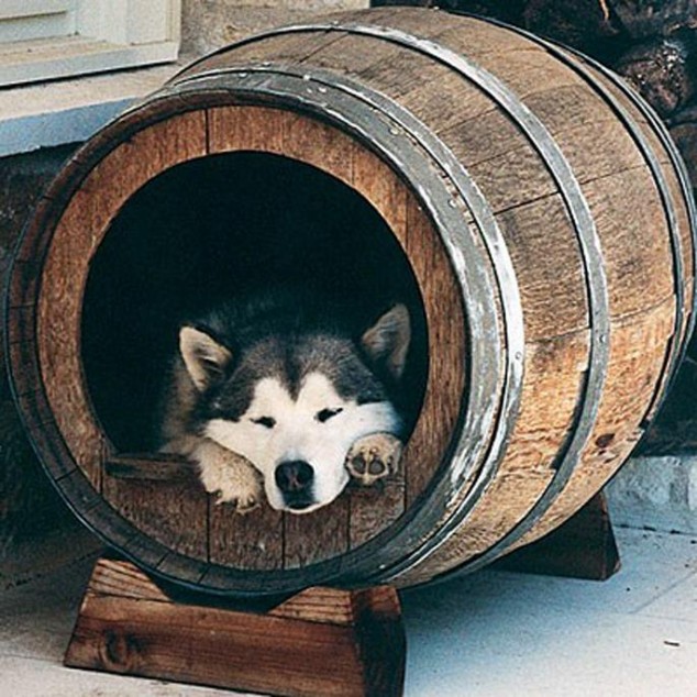 17 DIY Useful And Smart Ideas: How To Repurpose Wine Barrels | post of the week diy 2  | repurposing Recycle old interior design how to diy ideas diy cool ideas amazing 