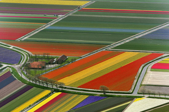 25 Breathtaking Photos Of Nature. You may be Impressed And Confused At The Same Time