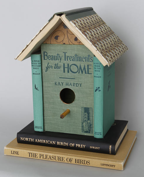 10 Delightful DIY Birdhouses