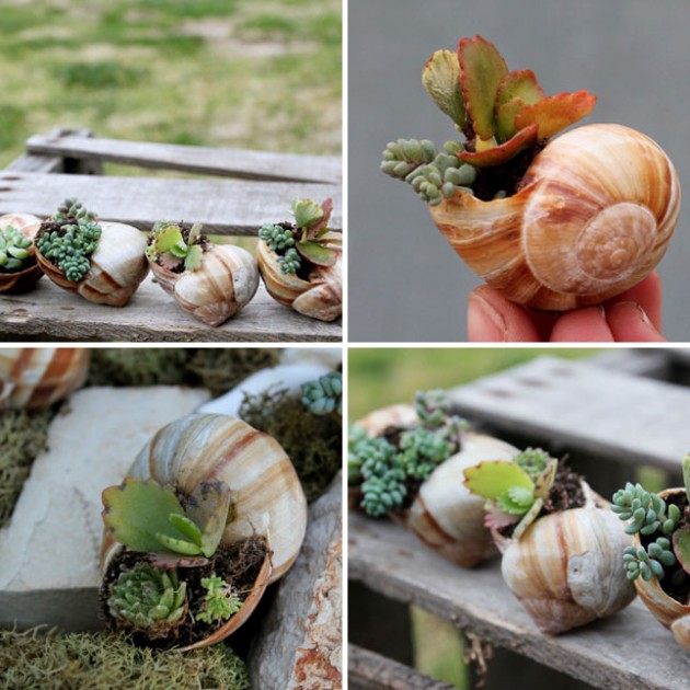 10 DIY Inspiring Garden Pots