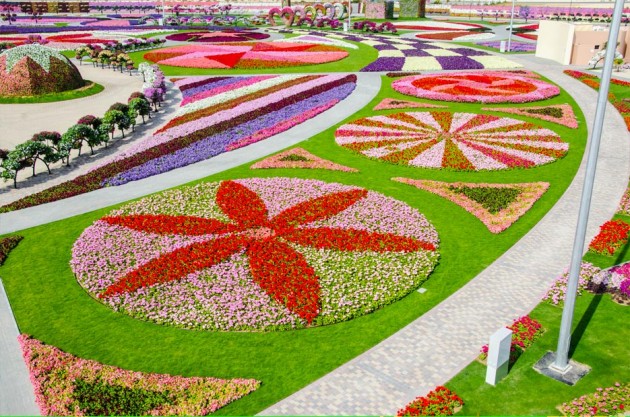 Dubai Miracle Garden The most Attractive Garden in the World