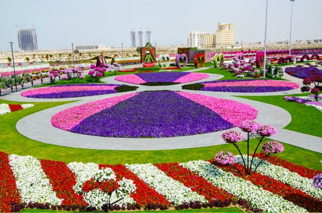 Dubai Miracle Garden The most Attractive Garden in the World