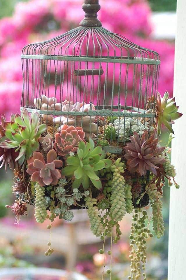 20 Lovely Repurposed Bird Cages