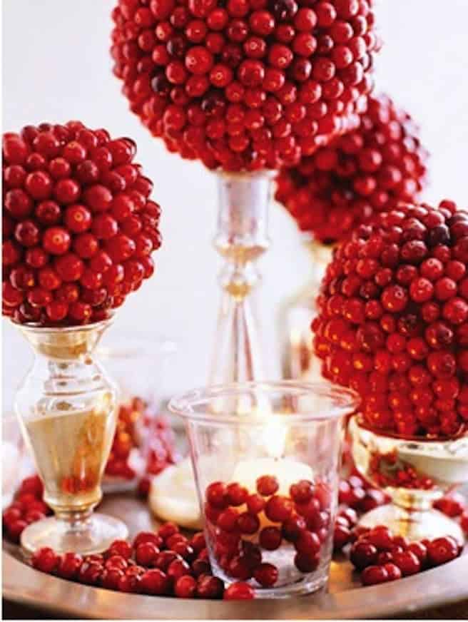 28 Brilliant DIY Cranberries Décor Ideas