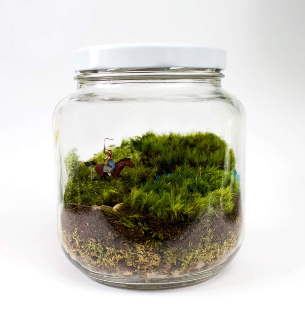17 Whimsical Themed Terrarium Decorations