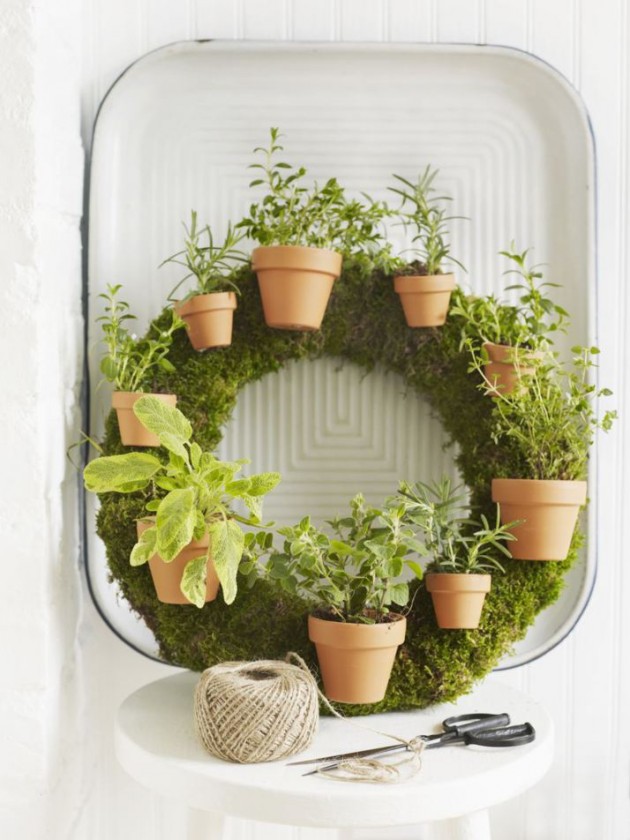 How do you grow an outdoor herb garden?