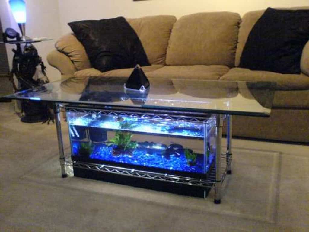 16 Truly Amazing Interiors With Fascinating Aquarium