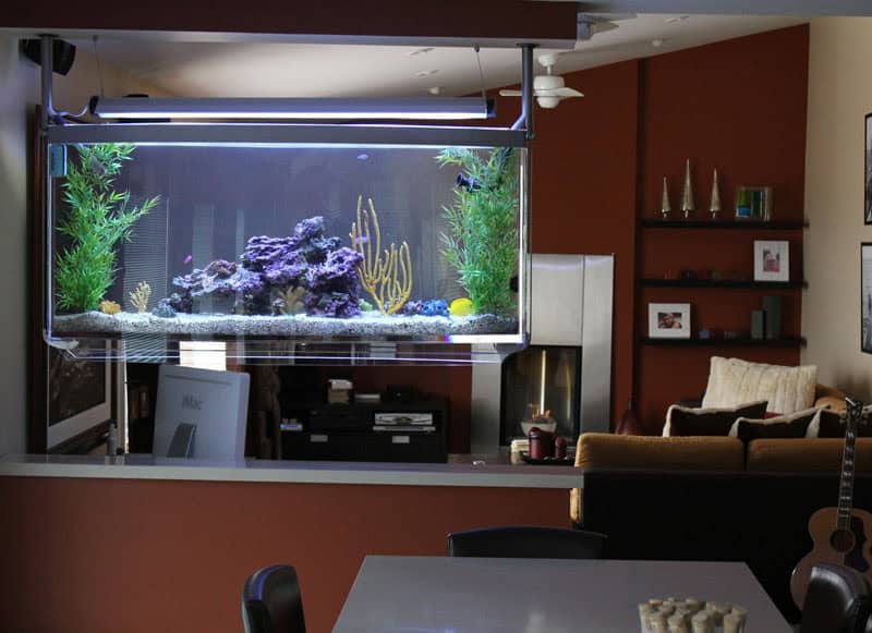 16 Truly Amazing Interiors With Fascinating Aquarium