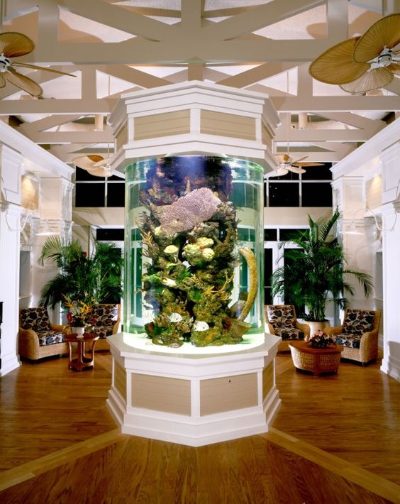 17 Remarkable Aquarium Designs To Enhance Beautify Your