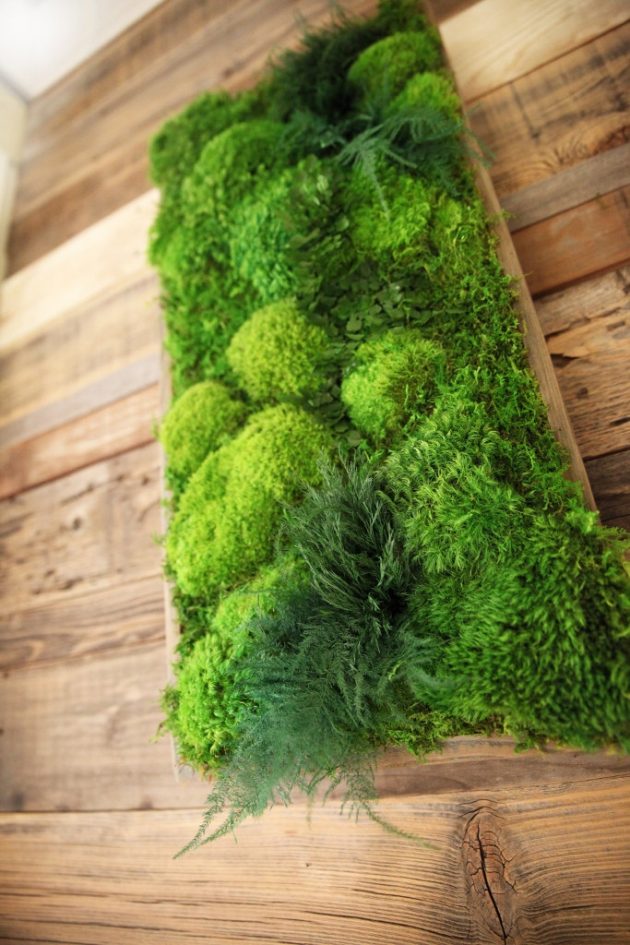 15 Spectacular Moss Wall Art Designs That Redefine The