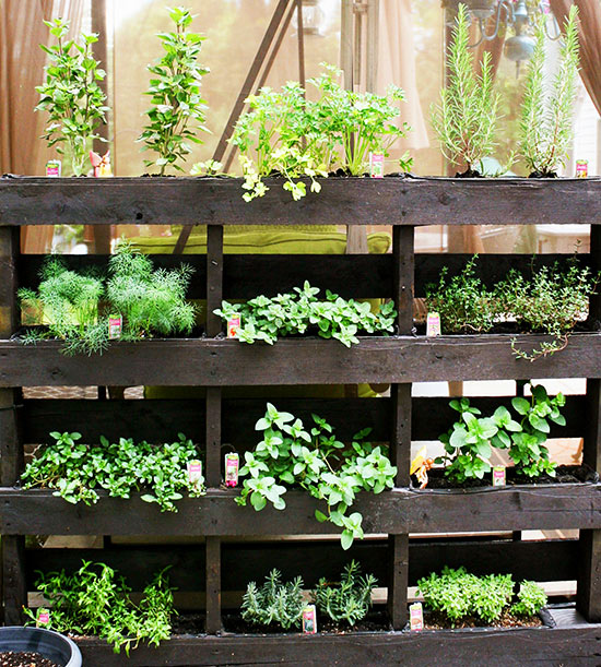 22 Awesome DIY Vertical Garden Ideas That Will Refresh ...