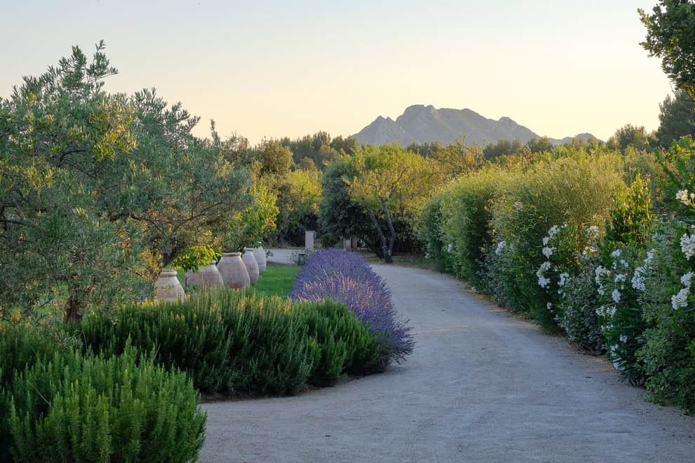 16 Spectacular Mediterranean Landscape Designs You'll Fall In Love With