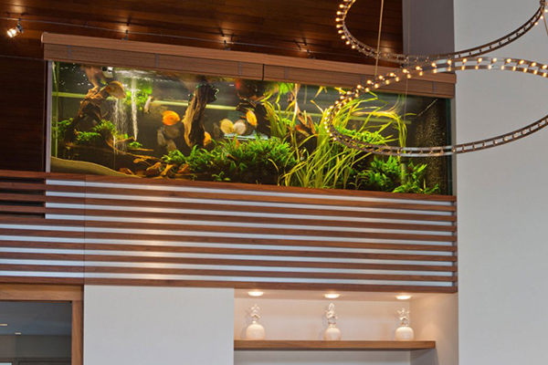 Eclectic Apartment in the Netherlands Integrating an Aquarium