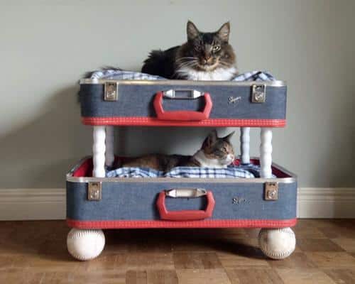 25 DIY Pet Bed Ideas