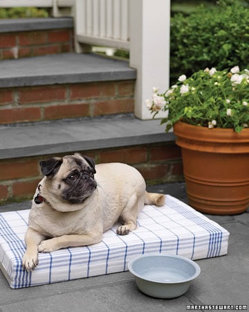 25 DIY Pet Bed Ideas