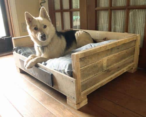 25 DIY Pet Bed Ideas