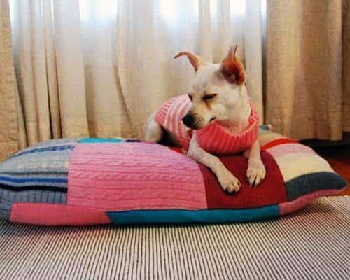 25 DIY Pet Bed Ideas