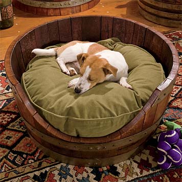25 DIY Pet Bed Ideas