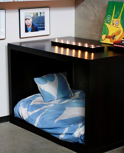 25 DIY Pet Bed Ideas