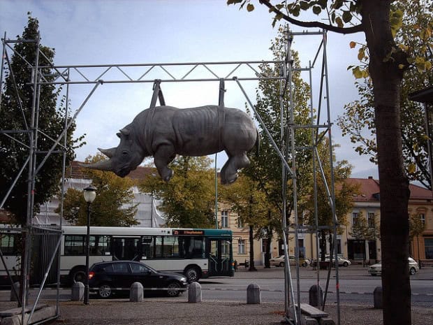 10. Hanging Rhino, Potsdam, Germany 10. Hanging Rhino, Potsdam, Germany