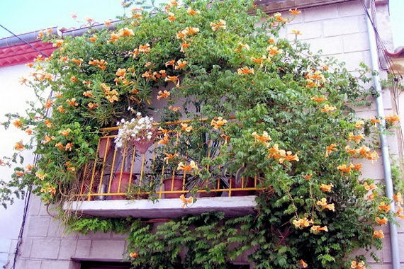 25 Balcony ideas: It's spring, enjoy the fresh air.