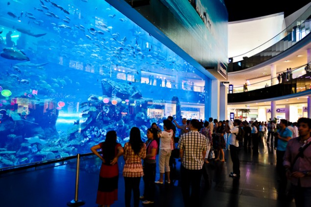 Underwater Zoo And Aquarium In The World’s Largest Shopping Mall @ Dubai