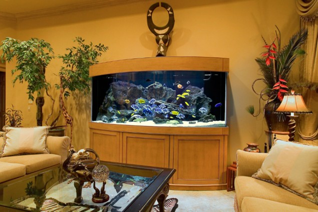 29 Amazing Aquariums For Impressive Decoration Of Your Home