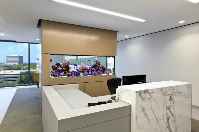 29 Amazing Aquariums For Impressive Decoration Of Your Home