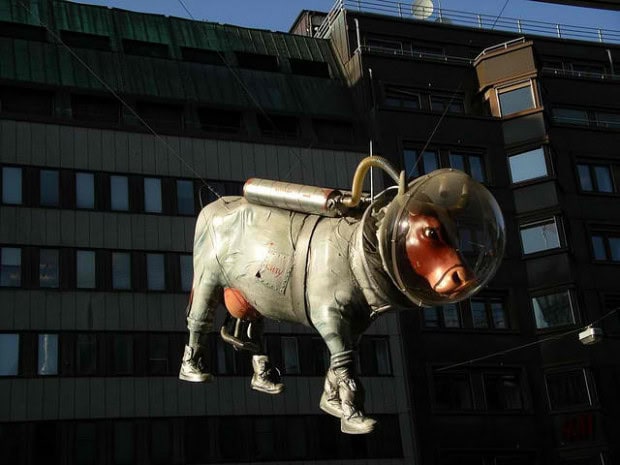28. Space Cow, Stockholm, Sweden 28. Space Cow, Stockholm, Sweden