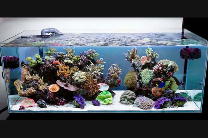29 Amazing Aquariums For Impressive Decoration Of Your Home