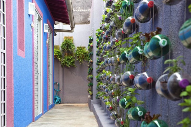 DIY: Creation of a modern garden with upcycling plastic bottles