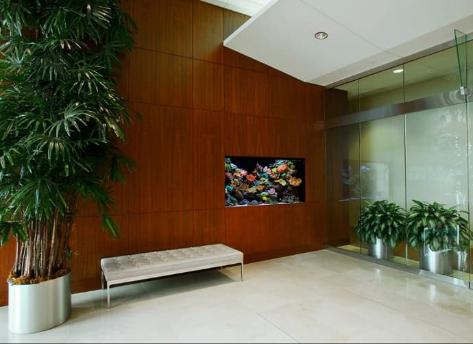 29 Amazing Aquariums For Impressive Decoration Of Your Home