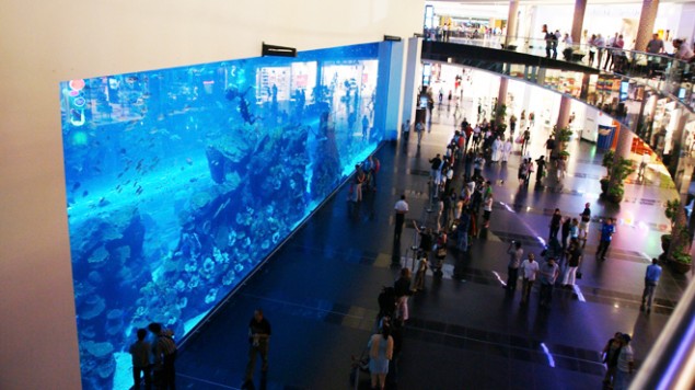 Underwater Zoo And Aquarium In The World’s Largest Shopping Mall @ Dubai