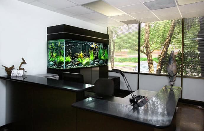 29 Amazing Aquariums For Impressive Decoration Of Your Home