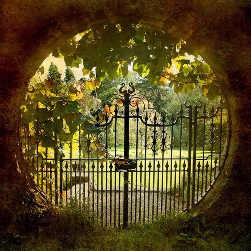 20 Beautiful Garden Gate Ideas