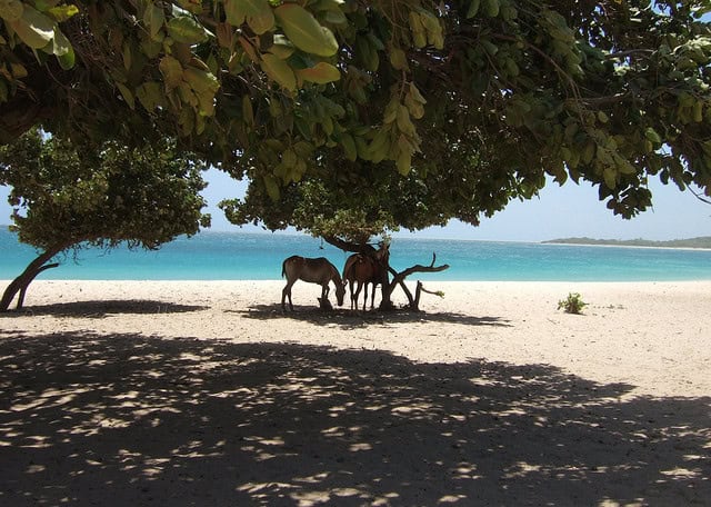Natadola Beach, Fiji