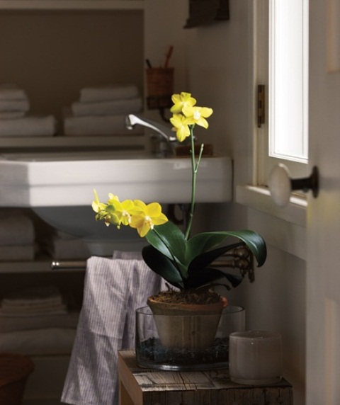 48 Bathroom Interior Ideas With Flowers And Plants - Ideal For Summer.