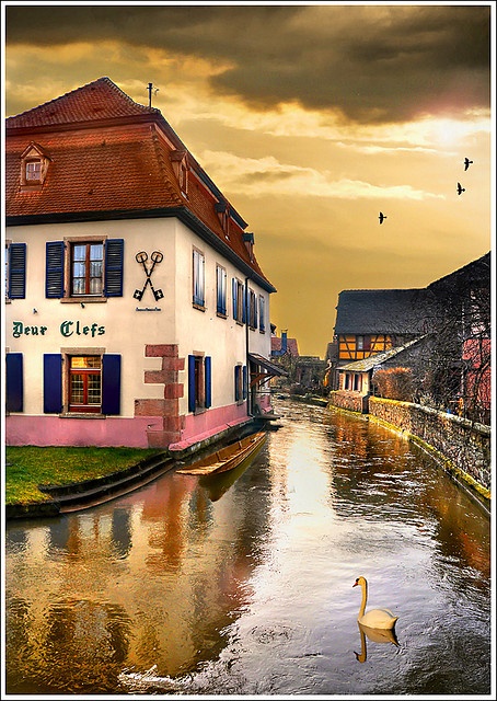 Ried - Alsace - France