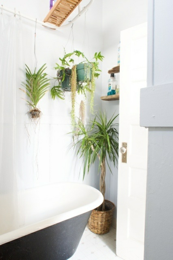 badezimmer-weiße-wände-pflanzen