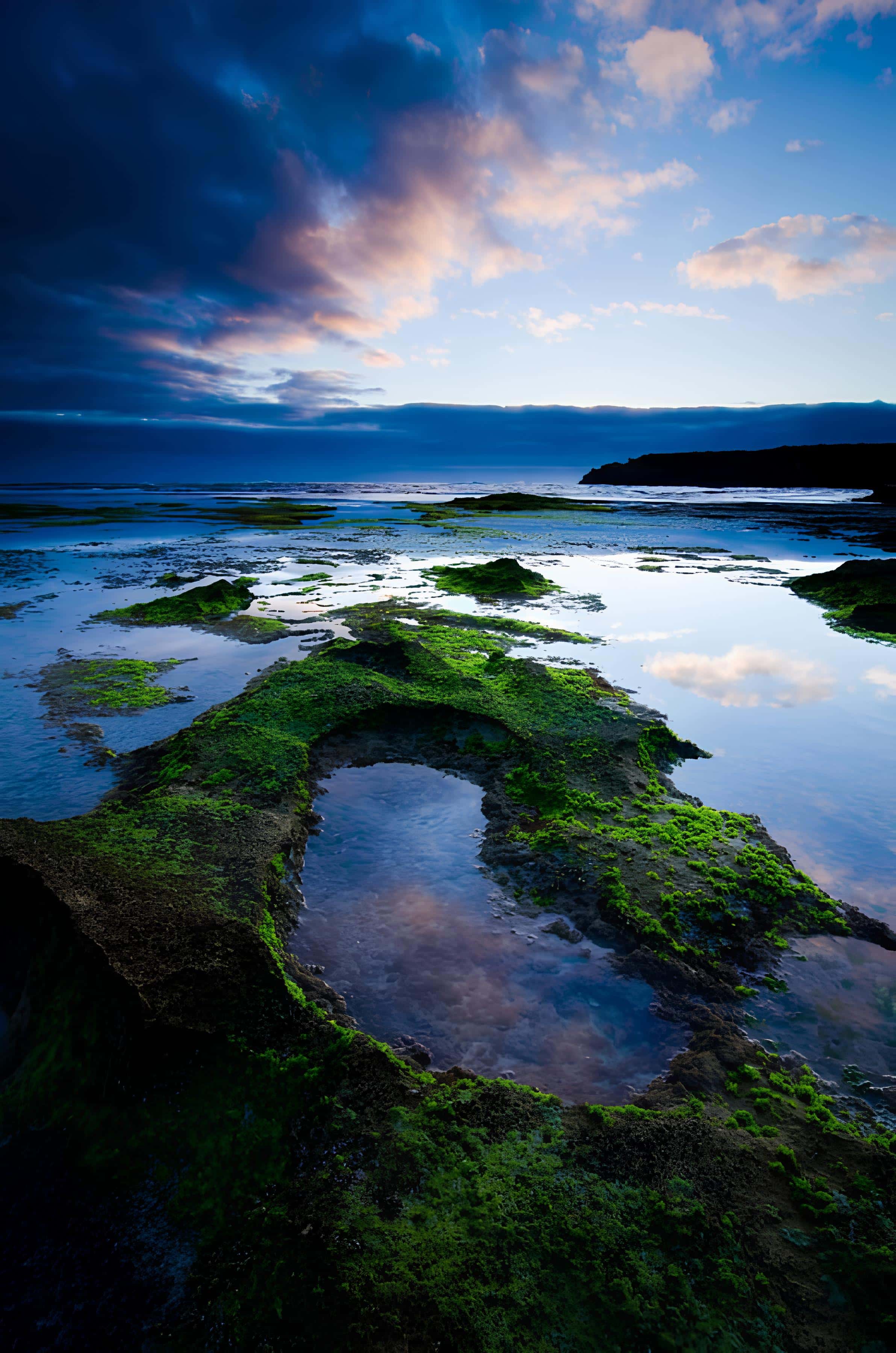Coastal Tide Pools at Dusk Tide pools and algae-covered rocks reflecting the sky at dusk