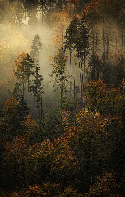 vedholdende svær at tilfredsstille Windswept The 30 Most Beautiful Nature Photography