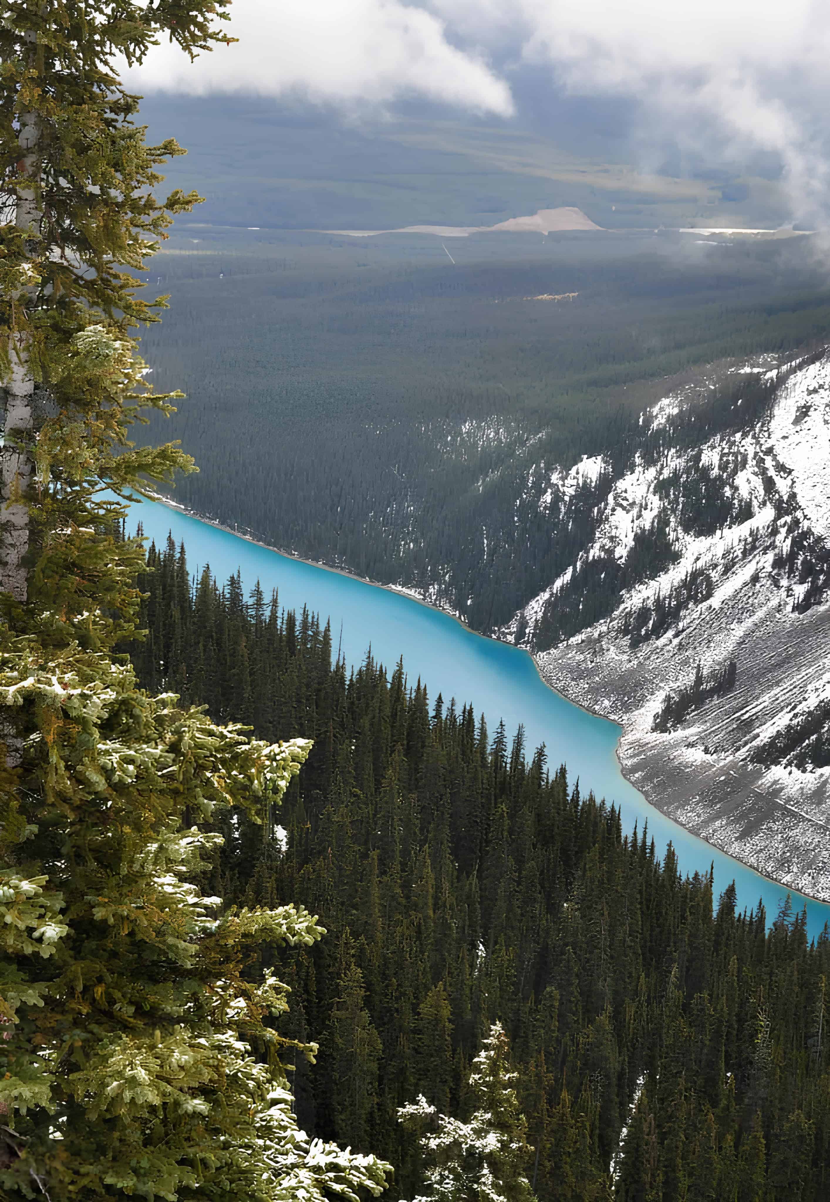 Turquoise River Between Pine Forests Bright blue river winding through snow-dusted evergreen forests