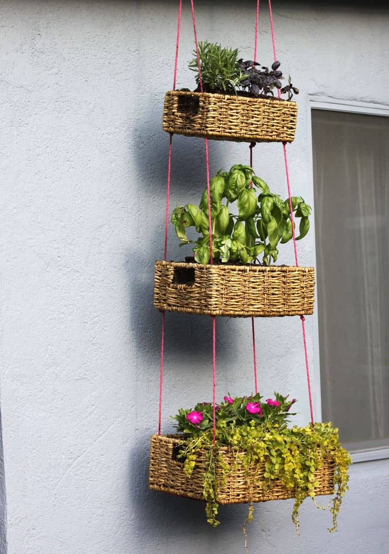 Hanging Basket Garden 6a00d8358081ff69e2016305d6ac40970d-800wi
