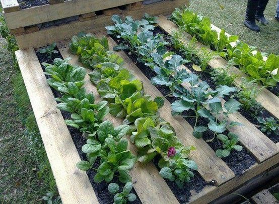 20 Inventive Ways to Upcycle Shipping Pallets
