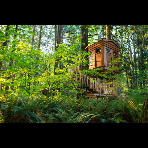 15 Unique And Extraordinary Treehouses For Adults
